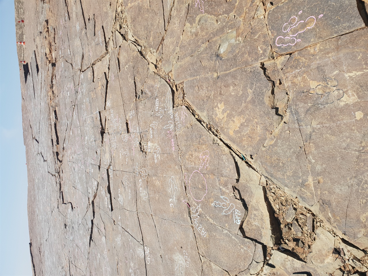 진주 정촌 뿌리산단 조성부지에서 발견된 7700여 개 공룡발자국 화석이 발견됐다.