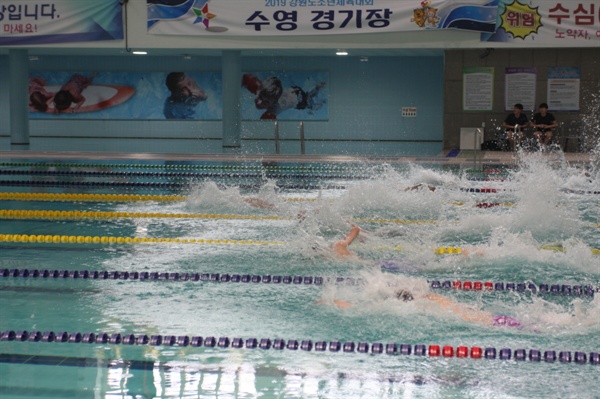  2019강원도손녀체전 수영 자유형50m 경기장면
