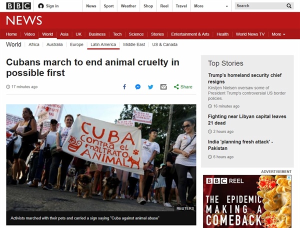쿠바 수도 아바나에서 열린 동물 애호 행진을 보도하는 BBC 뉴스 갈무리.