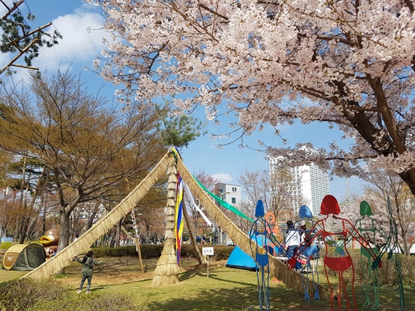 비가 그친 뒤 온석동에서 세운 '볏가릿대'가 호수공원 벚꽃과 조화를 이루고 있다. ‘볏가릿대’를 세우는 풍습은 한해의 풍년과 무병장수, 만사형통을 기원하는 대표적인 민속행사다. 정월대보름에 볏가릿대를 세우고 이월 초하루 마을 사람들이 모여 고사를 지낸 후, 볏가릿대를 내려 묶었던 동아줄은 가마니에 담아 광에 두거나 태워서 밭에 뿌리는 게 일반적이다. 