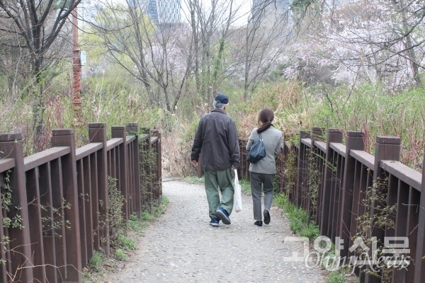 호수공원 산책로를 걸으며 대화를 나누고 있는 김훈 작가와 이영아 고양신문 대표.