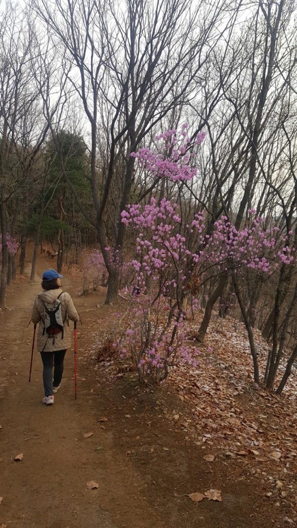 작년 봄, 나는 주말등산을 시작했다