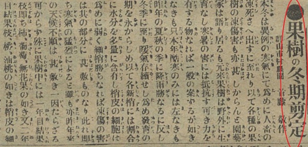 1917년 2월 14일치 <부산일보> 기사 "'과수의 동절기 전정" 갈무리