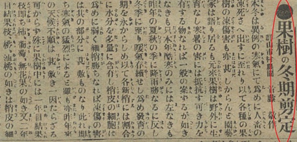 전정 3 1917년 2월 14일치 <부산일보> 기사 "'과수의 동절기 전정" 갈무리