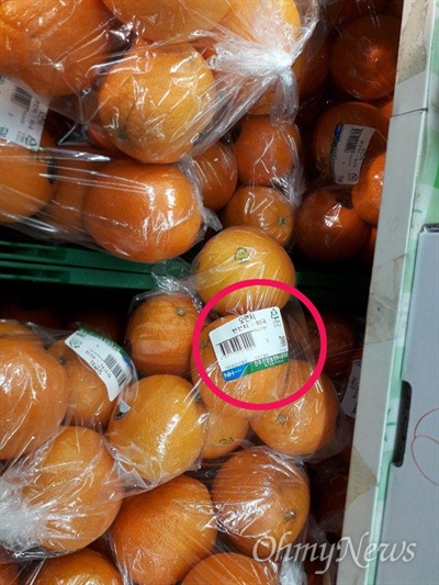 경남 진주지역의 한 지역농협 하나로마트에서 미국산 오렌지(원안 표시)를 판매하고 있다.