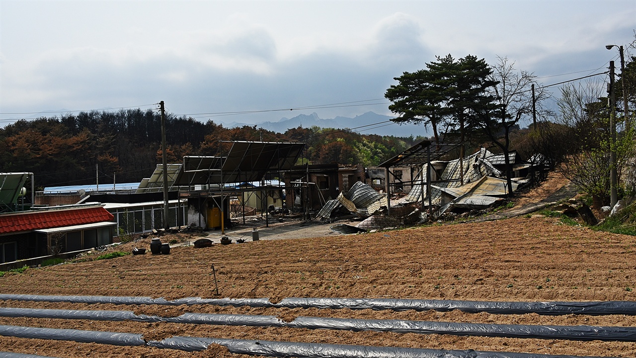 강원도 속초시 장사동과 동명동, 영랑동, 노학동, 교동을 이번 산불로 원 없이 걸어 본다. 장천마을은 속초시 장사동에 있는 전형적인 농촌마을이다.