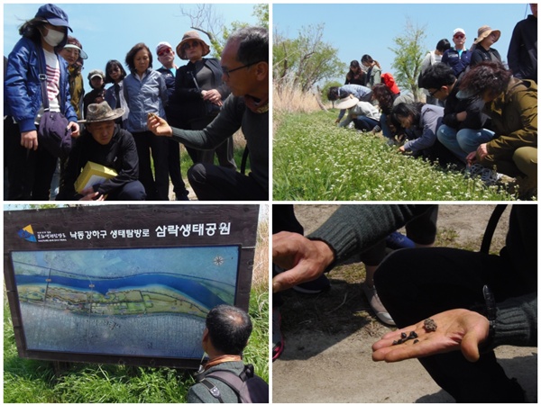 낙동강하구 오솔길을 걸었다.