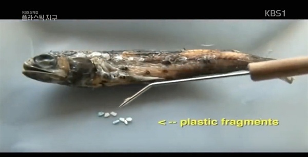  2018년 7월 5일 방영된 KBS 스페셜 <플라스틱 지구> 1부 - '플라스틱의 역습'편 중 한 장면