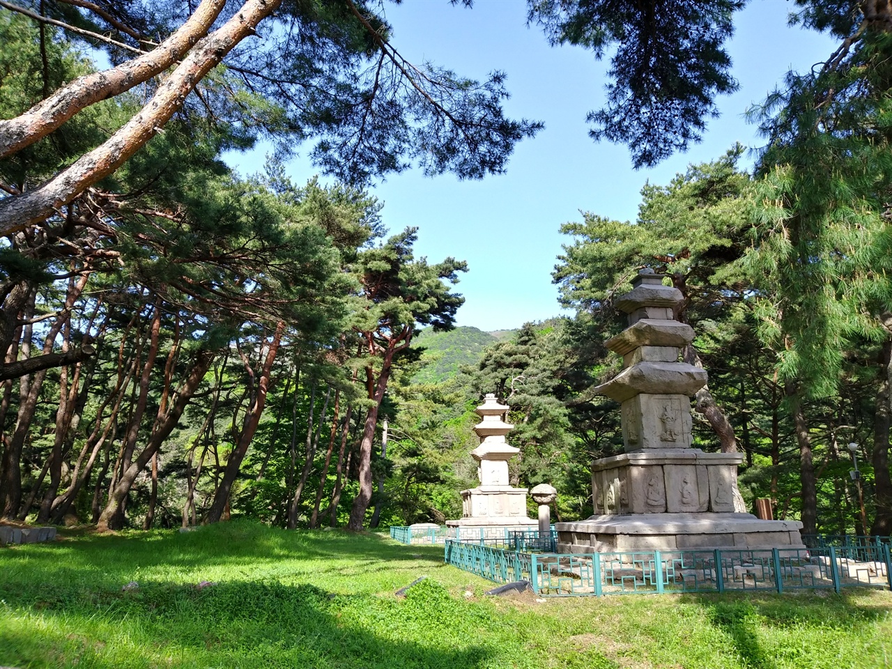 법당이 있던 자리에 자라난 소나무들이 두 개의 석탑을 향해 고개를 숙이고 있어 신비롭다.