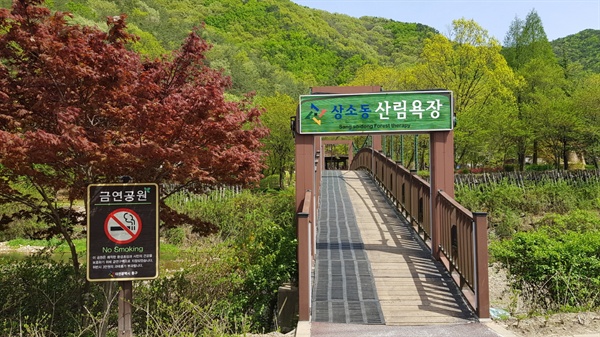  상소동 산림욕장 전경