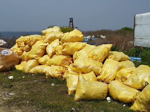 인주면 주민들이 삽교호 주변에서 수거해 놓은 쓰레기들이다.  