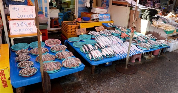 수산시장에 진열된 물고기