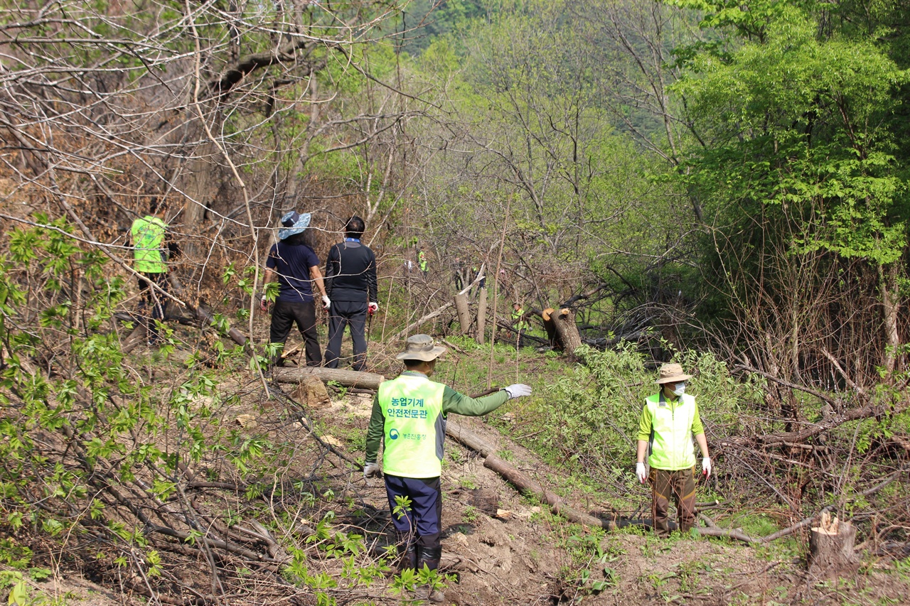  2019년 4월 30일에서 5월 2일, 3일에 걸쳐 전국 농업기계 안전전문관과 강원도농업기술원에서 63명이 파견되어, 1.48ha에 달하는 강릉 산불 피해지역 벌목을 지원했다.