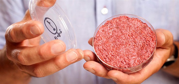 세계 최초로 영국에서 배양된 고기가 플라스틱 접시에 담겨있다