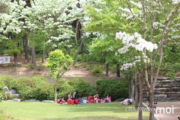  경주 송화산 아래 이팝나무가 피어 있는 잔디광장에서 어린이집 유아들이 뛰어 노는 모습