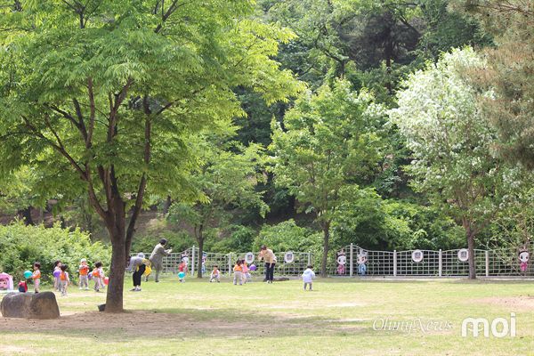  경주 송화산 아래 이팝나무가 피어 있는 잔디광장에서 어린이집 유아들이 뛰어 노는 모습