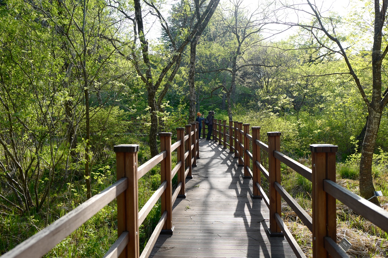  1987년 개원한 광릉수목원이 1999년 국립수목원으로 승격됐다. 수목원의 규모는 광릉숲 전체의 절반인 1100헥타에 달한다.