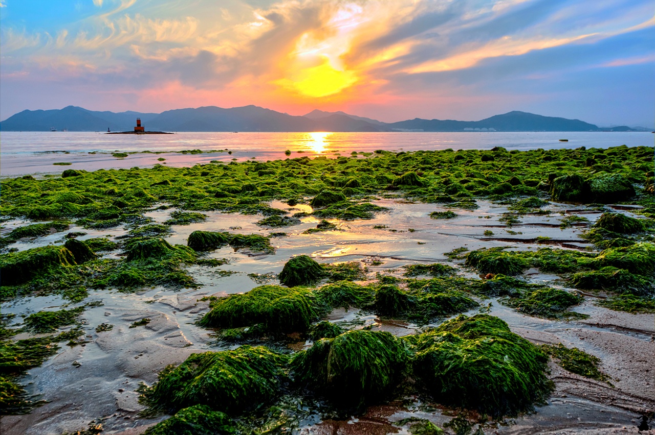 남해의 노을과 해초 녹색의 대조 노을빛이 바다를 물들일 때쯤, 해안가 돌에 붙은 해초의 녹색이 선명해진다. 