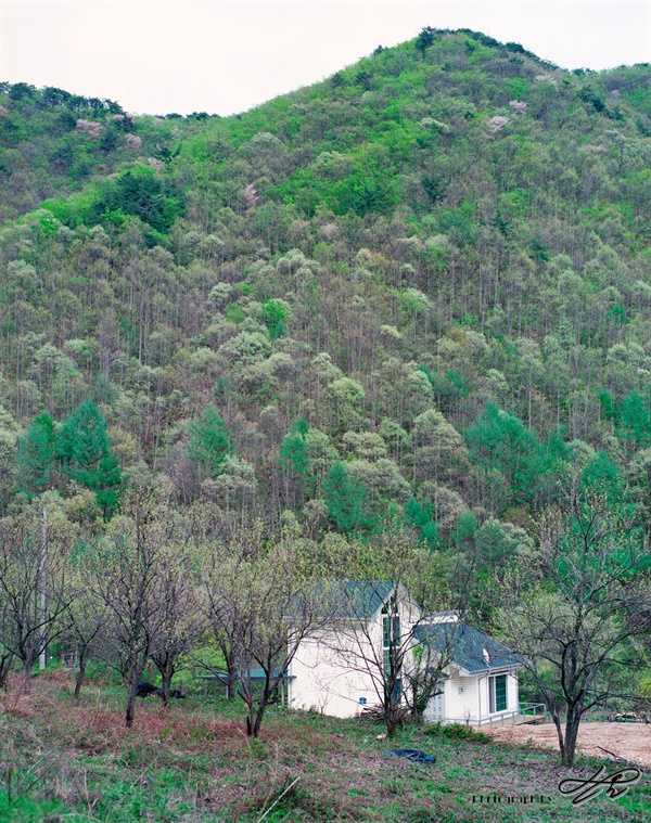 5월의 숲 (Pro400H)운장산 갈크미재를 내려오며