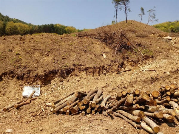 지난 3월부터 시작된 사방댐 공사로 의열단원 홍가륵 선생이 뭍힌 곳으로 추정된 유해터가 훼손됐다.