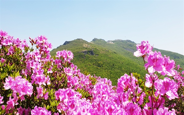 무등산 정상 삼봉(천,지,인 왕봉) 무등산 삼봉인 전왕봉, 지왕봉, 인왕봉이다. 도심에서 멀지 않은 거리에 있어 많은 사람들이 이곳을 찾는다. 군사시설이 있어 일부 통제되고 있어 전면 개방이라고 할 수는 없지만 1년에 4~5 회 정도 개방한다.