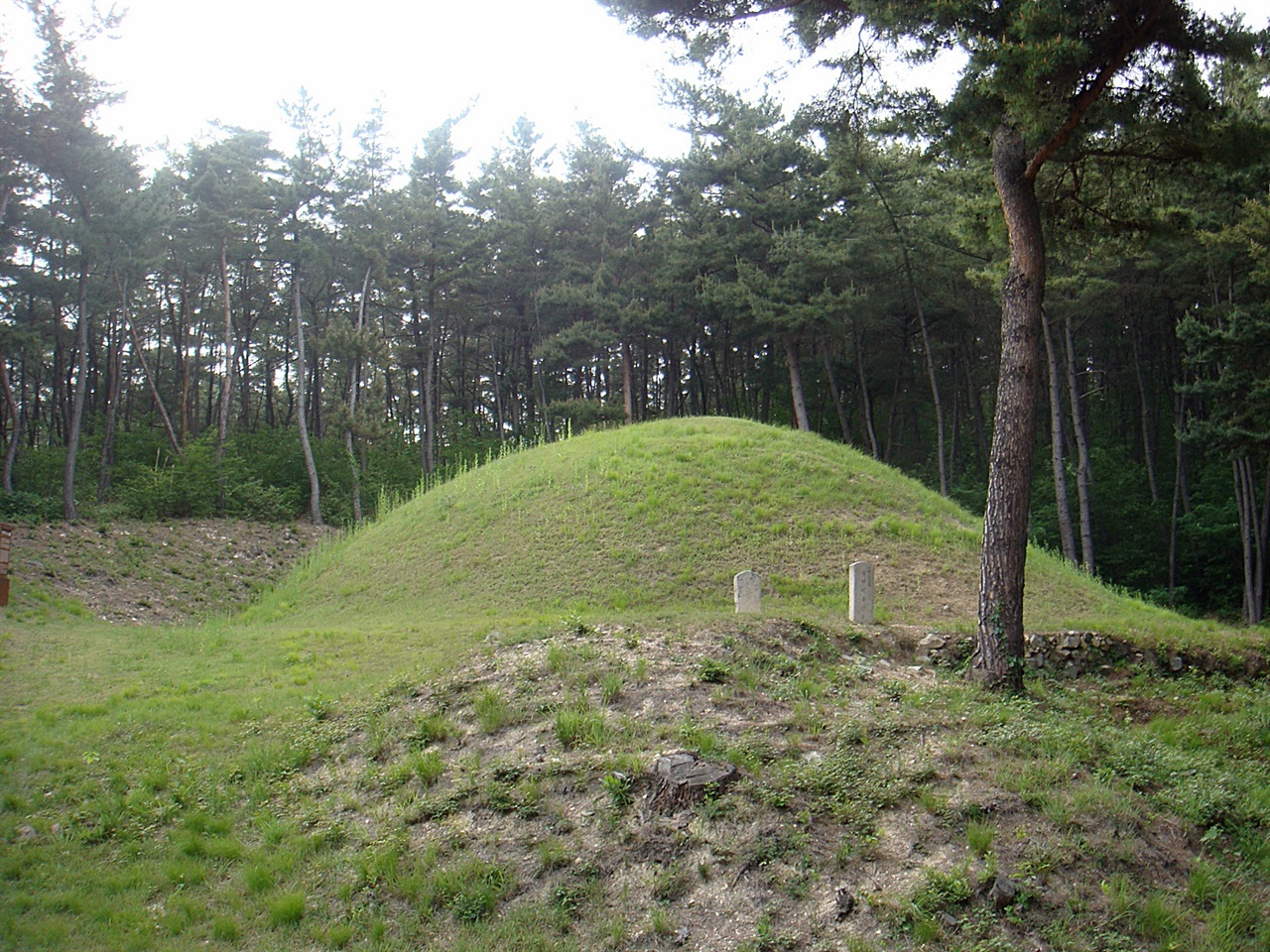 경주 선도산 기슭에 위치한 진흥왕릉 모습