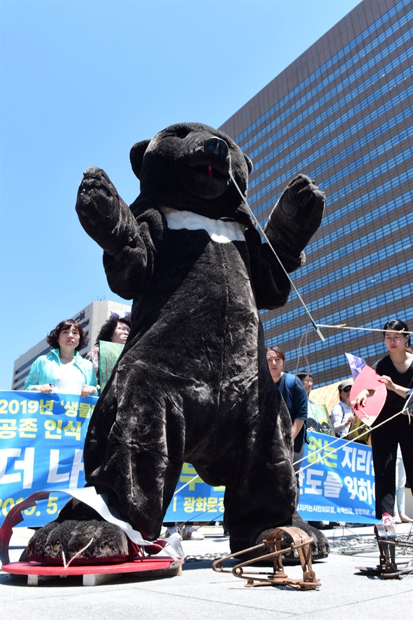 국립공원을지키는시민의모임, 녹색연합, 반달곰친구들 등 6개 환경운동단체 회원들이 21일 오전 서울 종로구 광화문광장에서 대형 덫에 걸려 고통스러워 하는 반달곰을 표현하는 퍼포먼스를 진행하고 있다. 2019.05.21