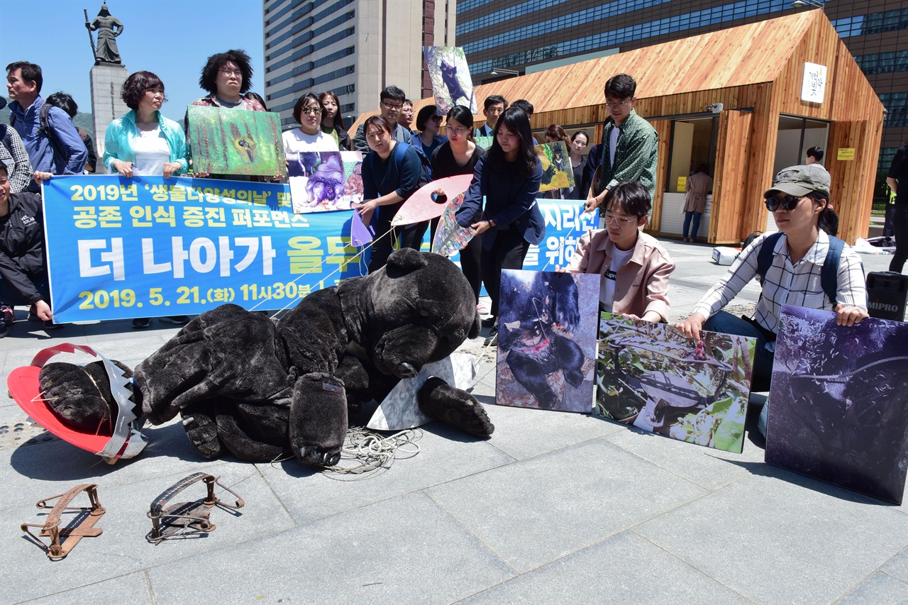 국립공원을지키는시민의모임, 녹색연합, 반달곰친구들 등 6개 환경운동단체 회원들이 21일 오전 서울 종로구 광화문광장에서 대형 덫에 걸려 고통스러워 하는 반달곰을 표현하는 퍼포먼스를 진행하고 있다. 2019.05.21