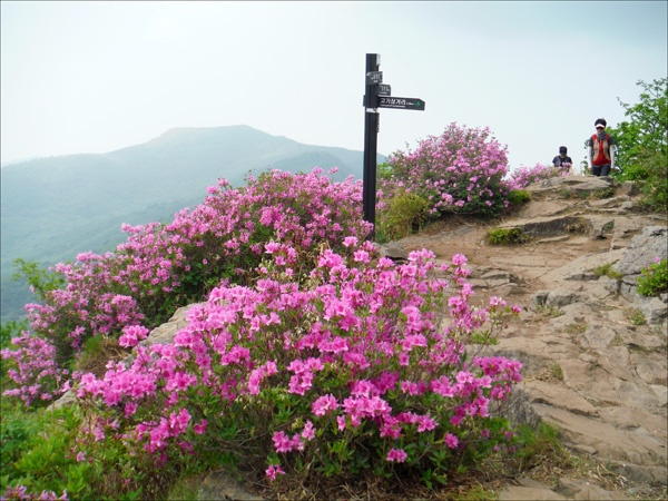 고리봉(1305m) 정상에서