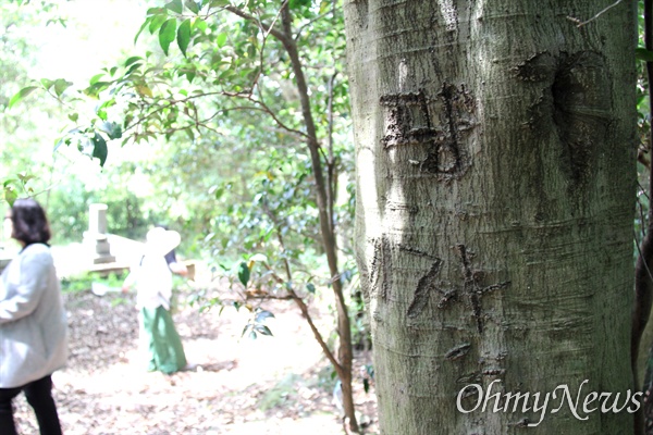 조선인 집단 매장지인 일본 '휴가 묘지'에 누군가 나무에 새겨놓은 글자인 '망자'.
