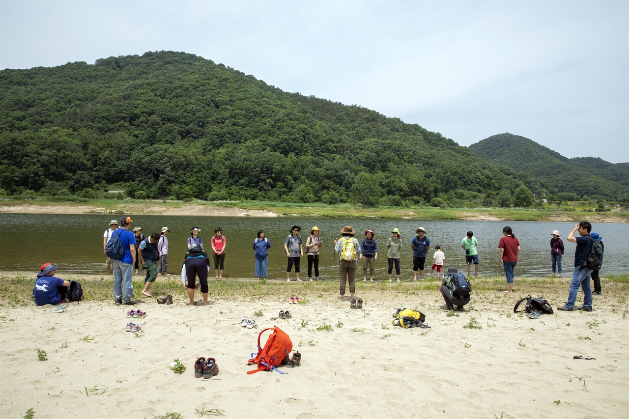 금강 공주보 상류에 형성되고 있는 모래밭을 맨발로 걸은 후 금강을 직접 느끼기 위해 강물 속으로 들어간 트레킹 참가자들