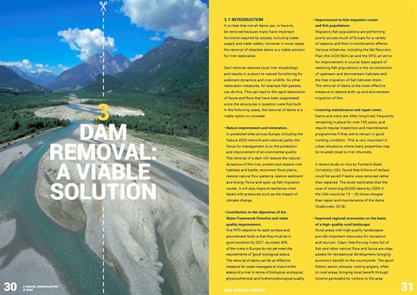 ‘댐 제거, 우리 유럽 강의 미래를 위한 시행 가능한 해결책’ 보고서