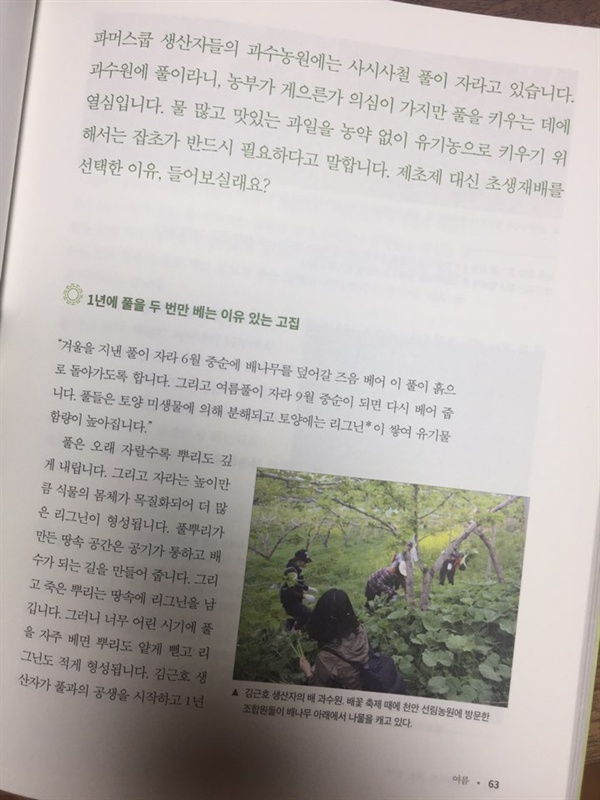 제초제 대신 초생재배를 선택한 생산자들.