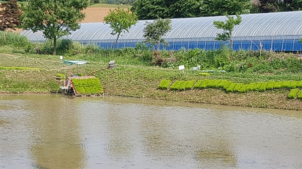  6월 첫주말인 2일 오후, 홍성군 홍동면에서 이앙기에 모판을 가득싣고 모내기 준비를 하고 있다. 