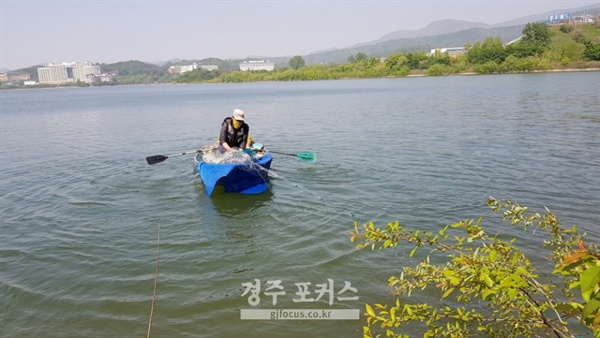 <figcaption>경주시는 물고기 폐사방지를 위해 5월한달동안 보문호 내수면 어업허가를 내주었다. 그러나 어획량이 당초 기대에 미치지 못하자 6월말까지 그 기간을 연장하기로 했다.</figcaption>