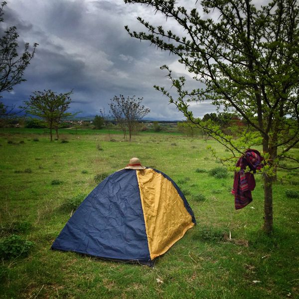 개떼들 사이에서 생존한 텐트 뒤로 올림푸스로도 불리는 파이코Paiko 산이 구름에 가려 있다.