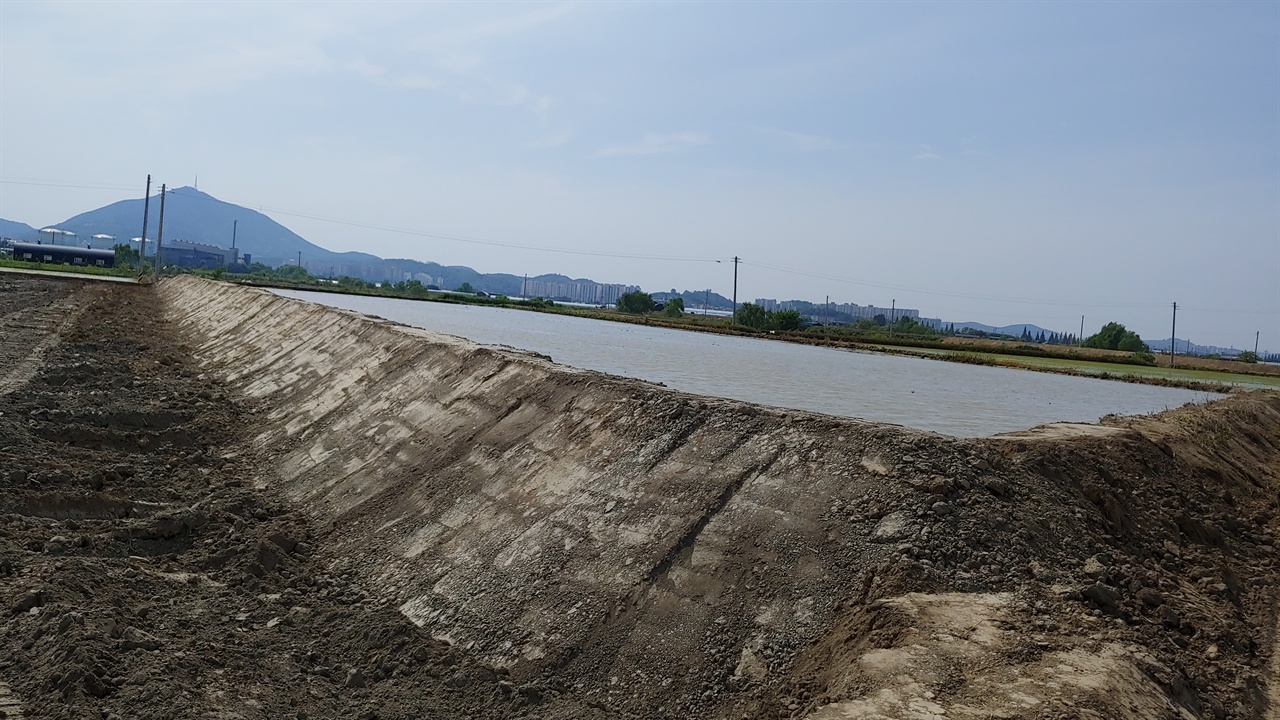 주변의 논들보다 한층 높이가 높아졌다.멀리 보이는 산은 부평 계양산이다.