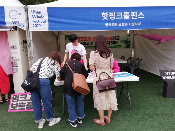 핫핑크돌핀스는 2019 울산고래축제에서 밍크고래 보호종 지정을 촉구하는 활동을 벌였다.