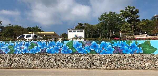 '제1회 섬 수국 축제'가 열리는 전남 신안군 도초도 수국공원 옆에 있는 옛 도초서초등학교 담벼락에 수국 벽화가 그려져 화제다.
