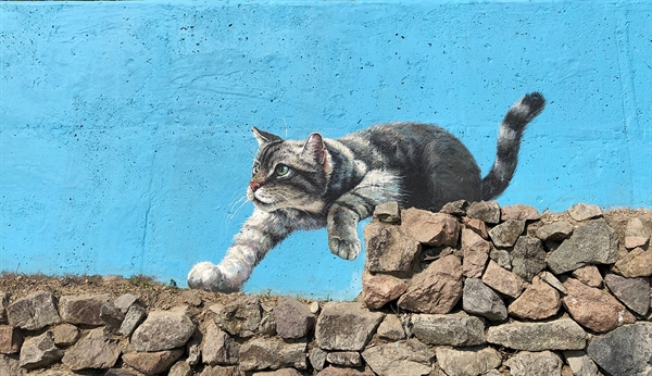 마치 살이있는 고양이처럼 마을벽화는 생생하다.