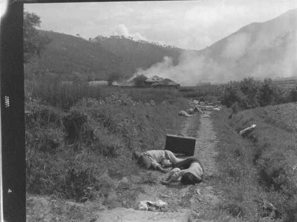 1950. 8. 25. 전투기의 기총소사로 들길에 나뒹굴고 있는 피란 시신들. 