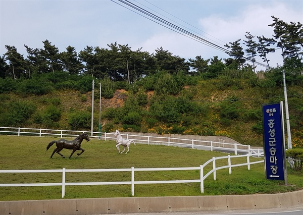 지난 2012년 사업비 30억원을 투입해 홍성군 서부면 궁리 속동전망대 맞은편에 총면적 2만 2763㎡로 조성된 홍성군승마장이 해마다 적자운영으로 활성화방안마련이 시급하다는 지적이다. 