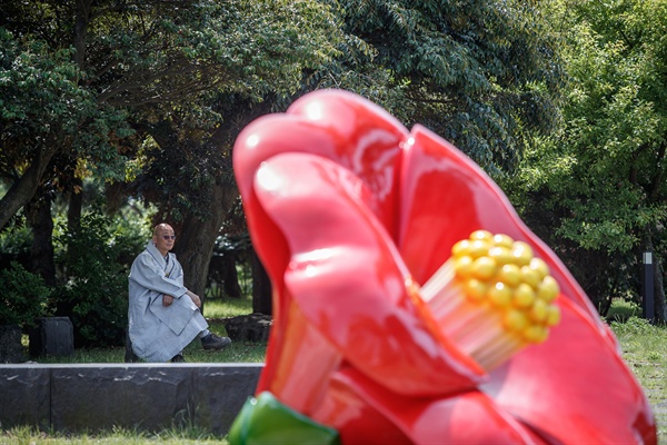 '평화의 길' 이사장인 명진 스님이 4.3 평화기념관 앞의 동백꽃 형상물 옆에서 생각에 잠겨있다.