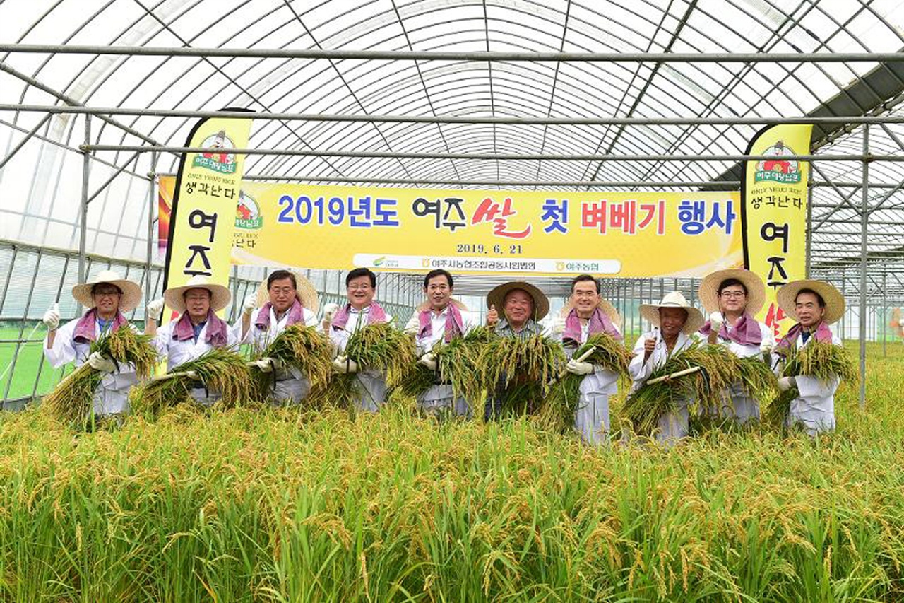 ‘대왕님표 여주쌀 첫 벼베기 행사 모습