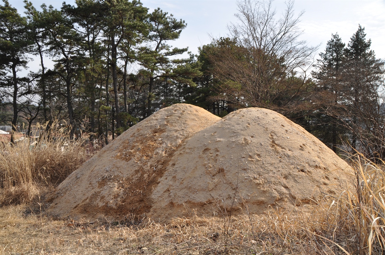 죽동숲 나무를 무단으로 자르고, 갈아서 톱밥을 쌓아 놓거나 깔아 놓아서 또 다른 나무들도 생육 환경이 나빠져서 죽게 만들었다고 주민들은 주장한다. 쌓아놓은 톱밥산