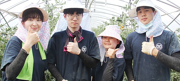 창소리 한 방울토마토 하우스에서 농작업을 도운 전국약학대학학생협회 농활대 학생들이 엄지를 치켜 세우고 있다.