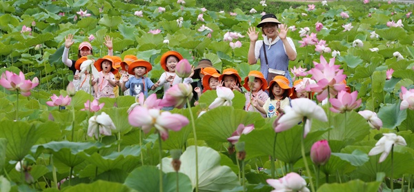  함양군 상림공원 연꽃단지.