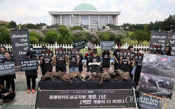  동물해방물결과 동물을위한마지막희망(LCA) 등 40여 개 동물보호단체 회원들이 12일 오전 서울 여의도 국회 앞에 모여 보신 문화에 희생된 개들을 추모하고 동물을 임의로 죽이는 행위를 원칙적으로 금지하는 법안 통과를 촉구하고 있다.