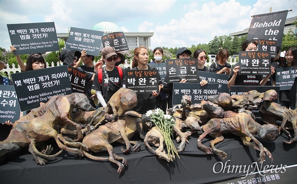  동물해방물결과 동물을위한마지막희망(LCA) 등 40여 개 동물보호단체 회원들이 12일 오전 서울 여의도 국회 앞에 모여 보신 문화에 희생된 개들을 추모하고 동물을 임의로 죽이는 행위를 원칙적으로 금지하는 법안 통과를 촉구하고 있다.