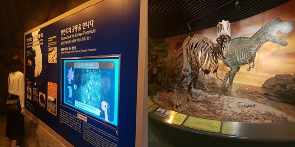 고성 엑스포 전시관에는 다양한 공룡 화석과 모형이 전시되어 있다.